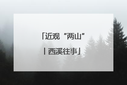 近观“两山”丨西溪往事
