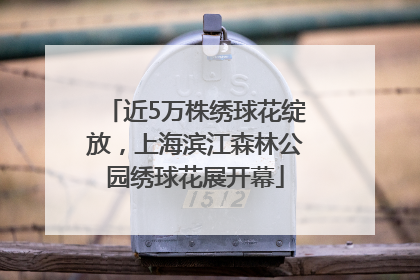 近5万株绣球花绽放，上海滨江森林公园绣球花展开幕