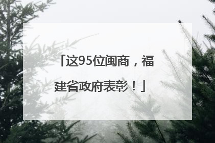 这95位闽商，福建省政府表彰！