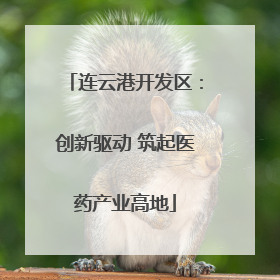 连云港开发区：创新驱动 筑起医药产业高地