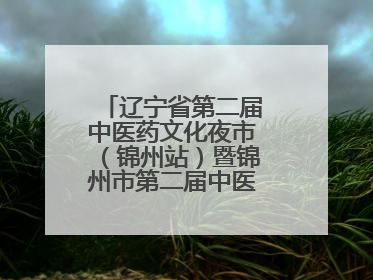 辽宁省第二届中医药文化夜市（锦州站）暨锦州市第二届中医康养夜市启幕