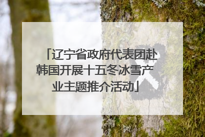 辽宁省政府代表团赴韩国开展十五冬冰雪产业主题推介活动