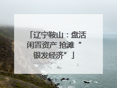 辽宁鞍山：盘活闲置资产 抢滩“银发经济”
