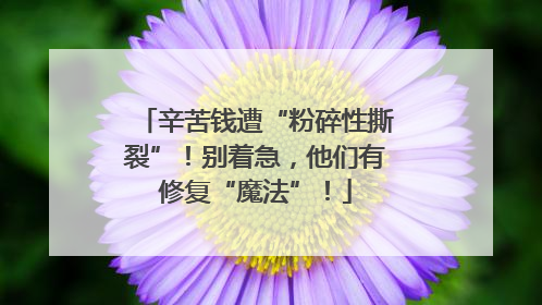 辛苦钱遭“粉碎性撕裂”！别着急，他们有修复“魔法”！