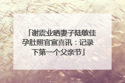 谢震业晒妻子陆敏佳孕肚照官宣喜讯：记录下第一个父亲节