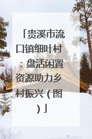 贵溪市流口镇细叶村：盘活闲置资源助力乡村振兴（图）