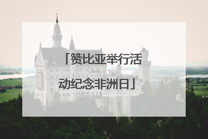 赞比亚举行活动纪念非洲日