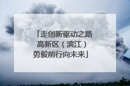 走创新驱动之路 高新区（滨江）勇毅前行向未来