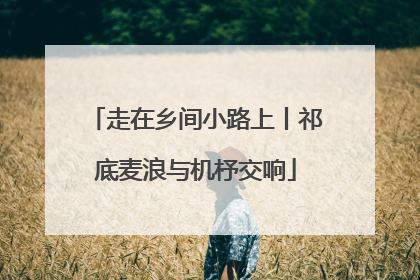 走在乡间小路上丨祁底麦浪与机杼交响