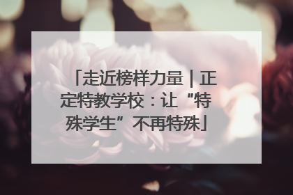 走近榜样力量｜正定特教学校：让“特殊学生”不再特殊