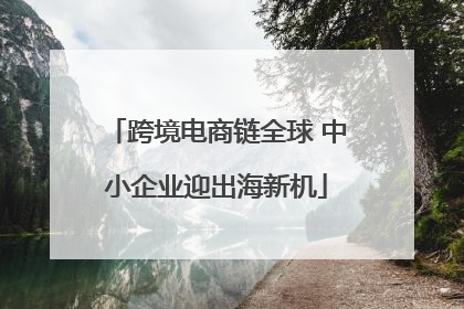 跨境电商链全球 中小企业迎出海新机