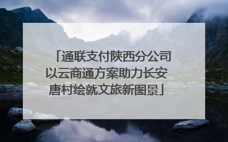 通联支付陕西分公司以云商通方案助力长安唐村绘就文旅新图景