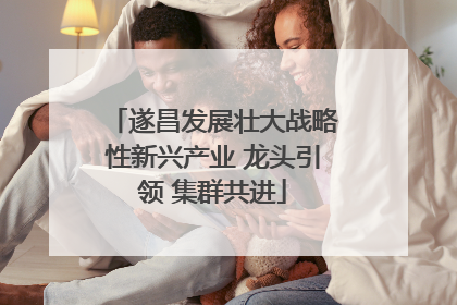 遂昌发展壮大战略性新兴产业 龙头引领 集群共进