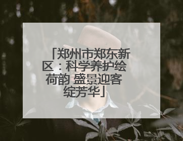 郑州市郑东新区：科学养护绘荷韵 盛景迎客绽芳华