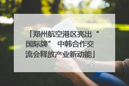 郑州航空港区亮出“国际牌” 中韩合作交流会释放产业新动能