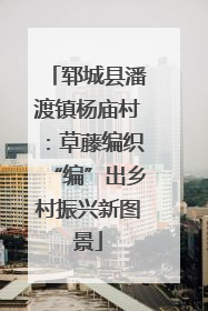 郓城县潘渡镇杨庙村：草藤编织“编”出乡村振兴新图景
