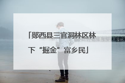 郧西县三官洞林区林下“掘金”富乡民
