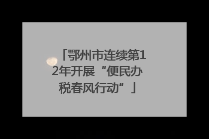 鄂州市连续第12年开展“便民办税春风行动”