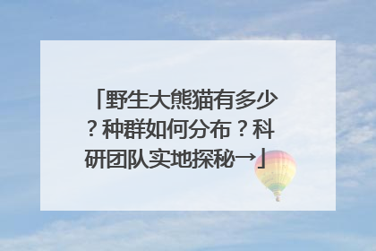 野生大熊猫有多少？种群如何分布？科研团队实地探秘→