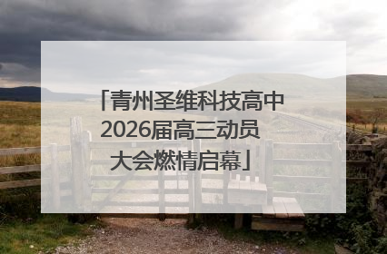 青州圣维科技高中2026届高三动员大会燃情启幕