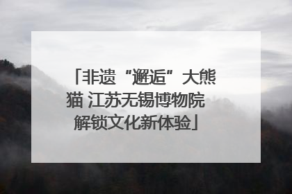 非遗“邂逅”大熊猫 江苏无锡博物院解锁文化新体验