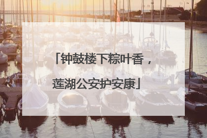 钟鼓楼下粽叶香，莲湖公安护安康