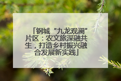 钢城“九龙观澜”片区：农文旅深融共生，打造乡村振兴融合发展新实践