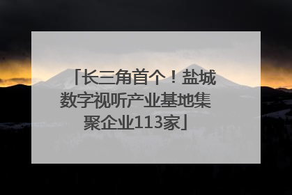 长三角首个！盐城数字视听产业基地集聚企业113家