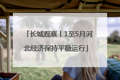 长城观察丨1至5月河北经济保持平稳运行