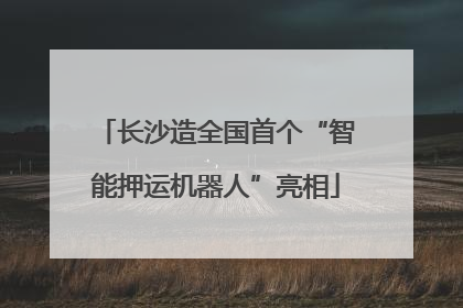 长沙造全国首个“智能押运机器人”亮相