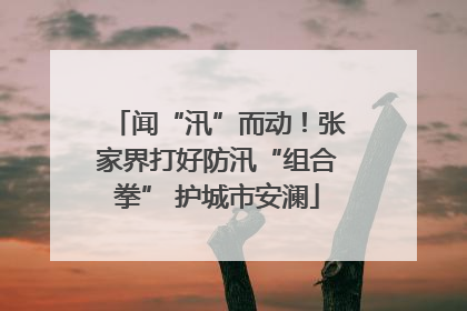 闻“汛”而动！张家界打好防汛“组合拳” 护城市安澜