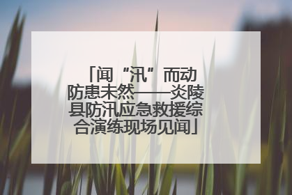 闻“汛”而动 防患未然——炎陵县防汛应急救援综合演练现场见闻