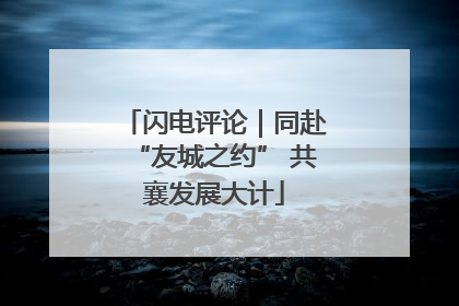 闪电评论｜同赴“友城之约” 共襄发展大计