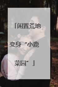 闲置荒地变身“小鹿菜园”