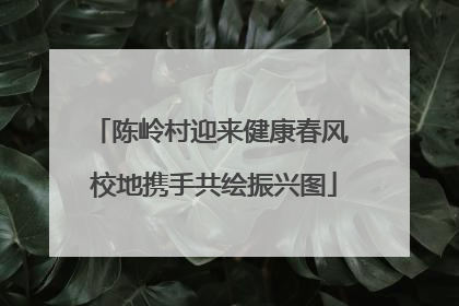 陈岭村迎来健康春风 校地携手共绘振兴图