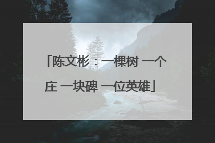 陈文彬：一棵树 一个庄 一块碑 一位英雄