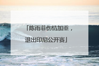 陈雨菲伤情加重，退出印尼公开赛
