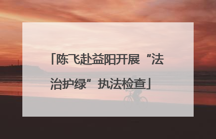 陈飞赴益阳开展“法治护绿”执法检查