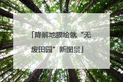 降解地膜绘就“无废田园”新图景