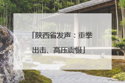 陕西省发声：重拳出击、高压震慑