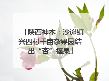 陕西神木：沙峁镇兴四村千亩杂果园结出“杏”福果