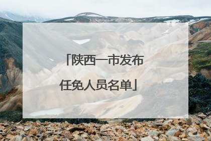 陕西一市发布任免人员名单