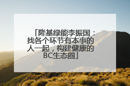 隆基绿能李振国：找各个环节有本事的人一起，构建健康的BC生态圈