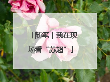 随笔｜我在现场看“苏超”