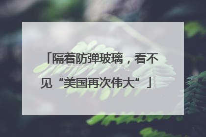 隔着防弹玻璃，看不见“美国再次伟大”