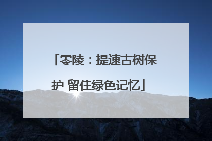 零陵：提速古树保护 留住绿色记忆