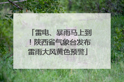 雷电、暴雨马上到！陕西省气象台发布雷雨大风黄色预警
