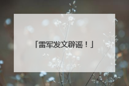 雷军发文辟谣！
