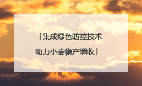 集成绿色防控技术助力小麦稳产增收