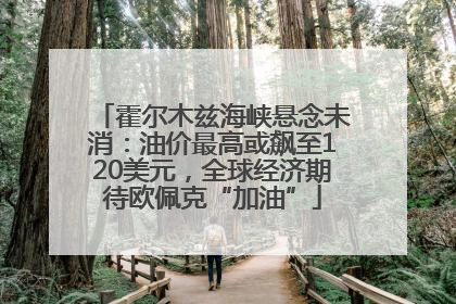 霍尔木兹海峡悬念未消：油价最高或飙至120美元，全球经济期待欧佩克“加油”